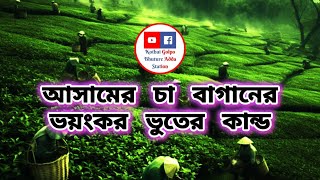 Saturday Night Horror Special // আসামের চা বাগানের ভয়ংকর ভুতের কান্ড // Haunted Tea Garden