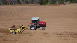 Picking Rocks Massey 4253 Degelman Picker