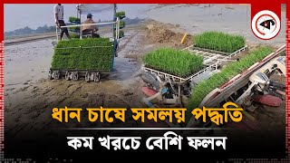 আধুনিক সমলয় পদ্ধতিতে ধান চাষ, কমবে খরচ | Kishoreganj Paddy | Kalbela