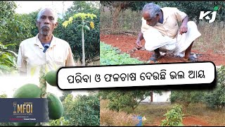 ପରିବା ଓ ଫଳଚାଷ ଦେଉଛି ଭଲ ଆୟ l successful farmer l farmer interview l rayagada l odisha