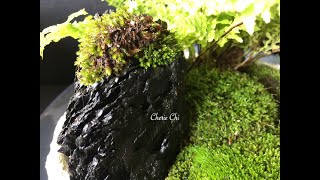 DIY Pots and Moss Garden 手作與青苔造景  Moss Garden by Cherie Chi2020年2月12日