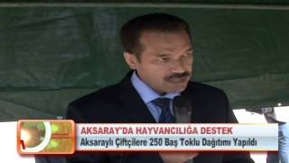 AKSARAY'DA HAYVANCILIĞA DESTEK