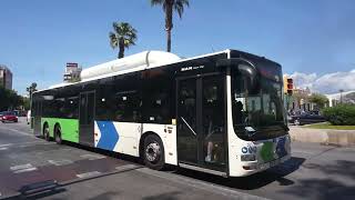 EMT Palma: Aquarium bound Lion's City 15 CNG 351 Rt.35 at Place D'Espanya