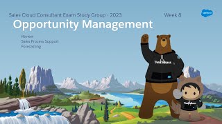 Sales Cloud Consultant Study Group 2023 - Week 8