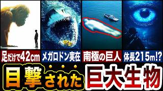 目撃された巨大生物たちがロマンありすぎ…!!目撃された巨大生物5選【ゆっくり解説】