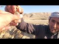 زرشوی در دهکده ما جویندگان طلا در دشت قلعه تخار zarshavi gold in our village takhar