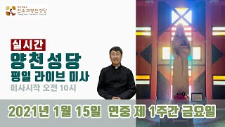 양천성당 2021년 1월 15일 연중 제 1주간 금요일 라이브미사