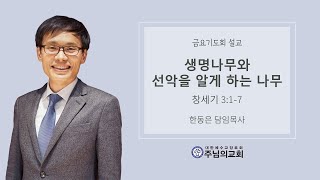 생명나무와 선악을 알게 하는 나무ㅣ창세기 3:1-7ㅣ한동은 담임목사ㅣ주님의교회