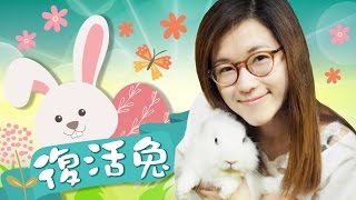 本土囡遊團 170414 ep63 復活兔