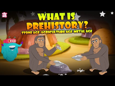 What was one of the major changes between the Old Stone Age and the New Stone Age?