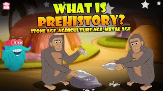 The Stone Age Man | Life Millions Of Years Ago | The Dr Binocs Show | Peekaboo Kidz