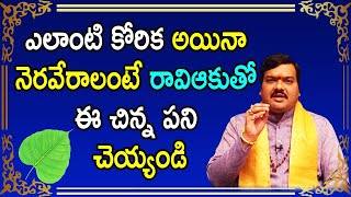 రావి ఆకు, గంధంతో ఇలా చేస్తే మీకున్న సమస్త కోరికలు నెరవేరుతాయి | Machiraju Kiran Kumar