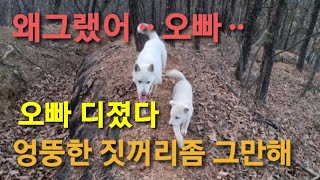 B83 꼴통 심바는 즐기고, 보라와 대장은 개고생 ㅠㅠ 아오ᆢ 저걸 그냥 확!