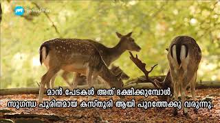 അല്ലാഹു ഏകനാണെന്നതില്‍ തെളിവ്‌