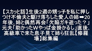 【スカッと話】生後2週の甥っ子を私に押しつけ、不倫夫と駆け落ちした愛人の姉。20年後、姉と偶然再会した際に「欠陥ガキはどうなった？」と聞かれ、元夫は「助かった、やっぱり金がかかるし」と笑っていた。