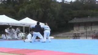 Kukkiwon Taekwondo Demonstration