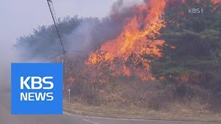 났다 하면 대형 산불…동해안 강풍에 순식간에 확산 | KBS뉴스 | KBS NEWS