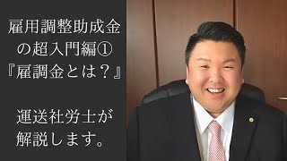 基礎から説明、雇用調整助成金の超入門編① 雇用調整助成金の流れとは？ 運送社労士が解説します。