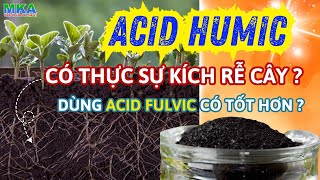 Hiểu về Acid Humic -Có thực sự kích rễ cho cây trồng |Humic và Acid Fulvic sửu dụng loại nào tốt hơn