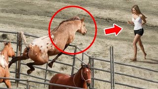 This Horse Recognized His 'Mom' After 20 Years, And What He Did Next Left Everyone in Tears