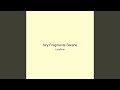 Sky Fragments Serene