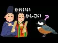 【野鳥】カラ類の知られざる能力と特徴まとめ