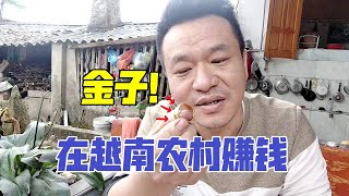 在越南老丈人家白吃白喝不賺錢？ 今天開張，養老婆孩子不是問題！