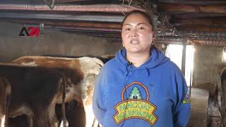 Mongolia – Mongolians to shift from pastoralism to the intensive animal husbandry