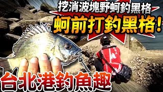 【 ★台北港河道放鬆釣魚趣!!挖消波塊野蚵直接釣!!★】蚵前打釣黑格\u0026土斑!!