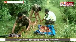 கோவை வனப்பகுதியில் சந்தன மரங்கள் வெட்டி கடத்தல்