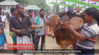 টাঙ্গাইলে পশুর হাট | ক্রেতা বিক্রেতা উভয়ের কাছ থেকে খাজনা আদায় | @JagrataBanglaTV