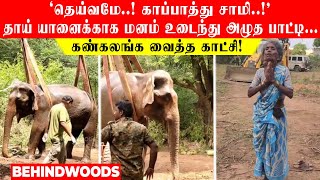 'தெய்வமே..! காப்பாத்து சாமி..!' தாய் யானைக்காக மனம் உடைந்து அழுத பாட்டி... கண்கலங்க வைத்த காட்சி!