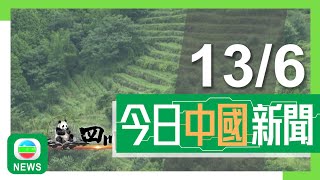 香港無綫｜兩岸新聞｜13/06/2024｜四川蒙頂山為中國茶文化發源地有近40萬畝茶園 結合生態旅遊宣揚蒙山茶｜內地電子支付普及化令小孩對鈔票感陌生 專家指認識實體貨幣助學習理財｜TVB News