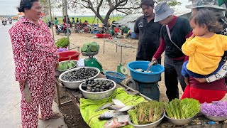 Cambodian COUNTRYSIDE Lifestyle – Countryside Market & Lifestyle Of Vendors In Kandal Province