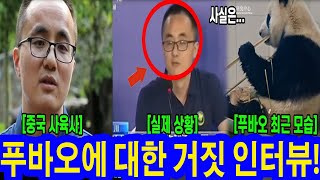 선수핑 폐쇄 후 사육사 첫 인터뷰 논란! 푸바오에 대한 거짓 인터뷰! 실제로 굶기나? 실제영상포함