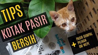 Kotak Pasir Kucing Bersih dan Sehat