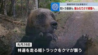 軽トラックが襲われるなどクマの出没が相次ぐ根室市…箱わなで捕獲へ　４月以降、市内で９件の目撃情報　山菜採りシーズンに向けて注意呼びかけ