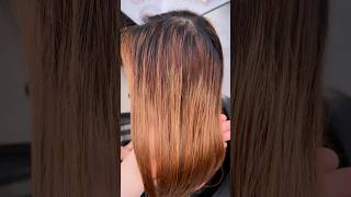 Hair Nightmare color correction Copper Rosewood with #GuyTang #Mydentity