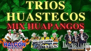 🎻MIX HUAPANGOS HUASTECOS 2022🔥Tríos Halcon Huasteco,Imperiales De La Sierra,Huapangueros Diferentes