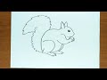 How To Draw SQUIREL Step by Step