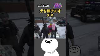 犬を轢き56すズズ【しろまんた/ストグラ警察/ストグラ切り抜き】