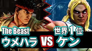 Street Fighter 5, Daigo[Ryu] vs Kintyo-ru0211[Ken]