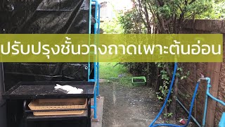 ปรับปรุงชั้นวางถาดเพาะต้นอ่อนให้แข็งแรง ป้าอยากเพาะ