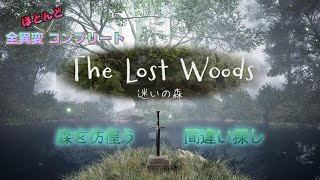 【The Lost Woods / 迷いの森】今回の間違い探しは森に聖剣！？※１つだけ異変逃しちゃった。