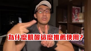 【楷教練直播精華】肌酸的功效是什麼？為何健身教練這麼推薦使用？