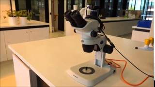 Microscope care and safety