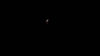 Lunar eclipse!!// #shorts #moon #lunareclipse #epic #night #rare