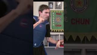 Wing Chun Training Comninations
