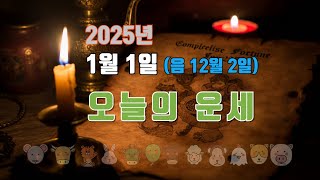 띠별 오늘의 운세🔮 2025년 1월 1일 (음력12월2일), 행운을 잡아라!