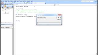 06) Microsoft Access Visual Basic Application - Input Box